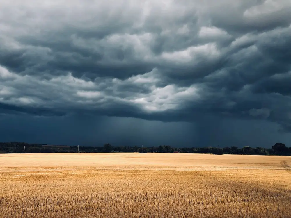 Una tormenta oscura avanzando sobre un campo de trigo recién cosechado